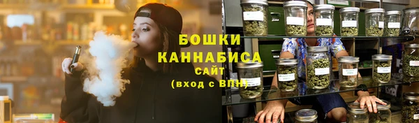 крисы Кодинск