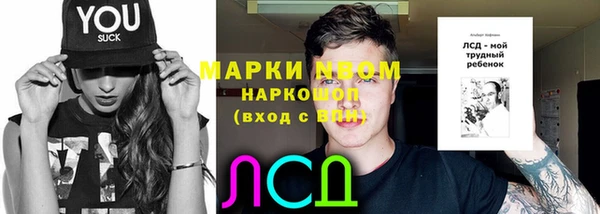крисы Козловка