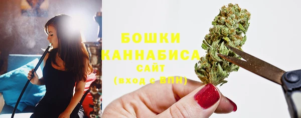 крисы Козловка