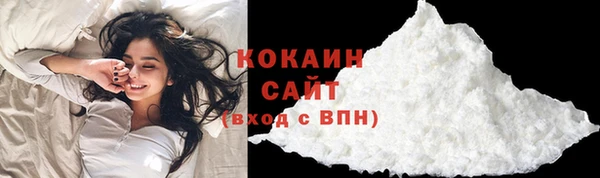 крисы Козловка