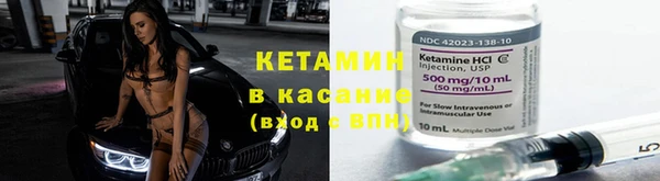 крисы Кодинск