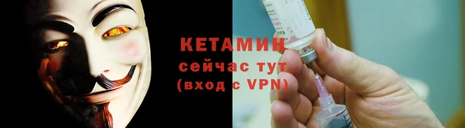 крисы Козловка