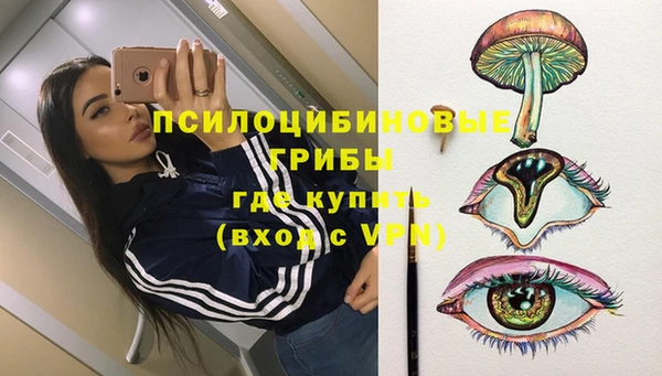крисы Кодинск