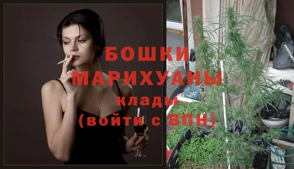 крисы Кодинск