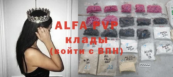 крисы Козловка