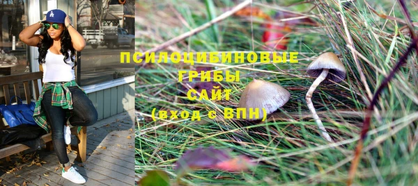MDMA Premium VHQ Козельск